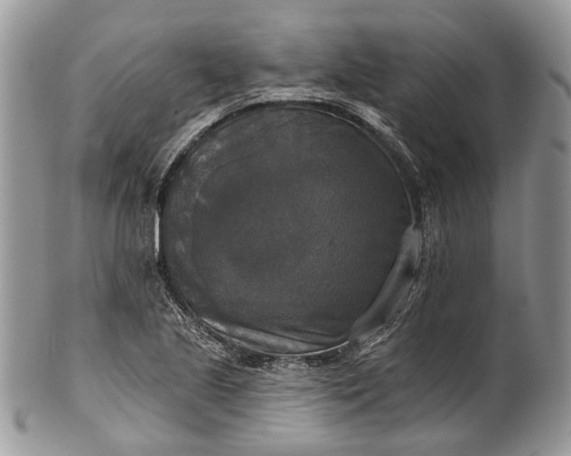 X0000101971221200808011123