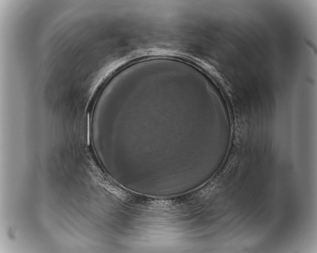 X0000101971223200808011123