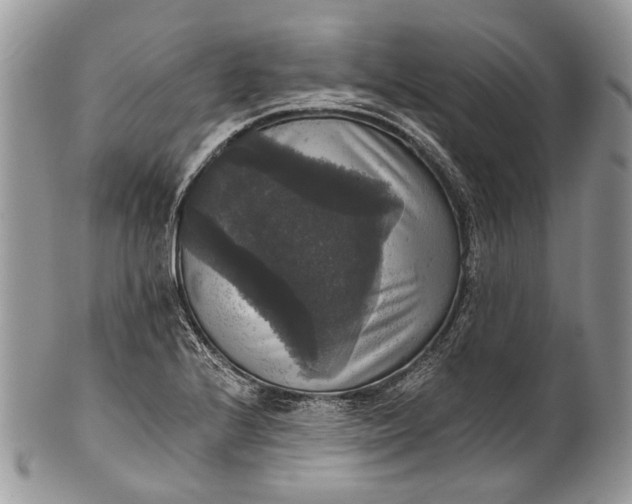 X0000101971224200808011123