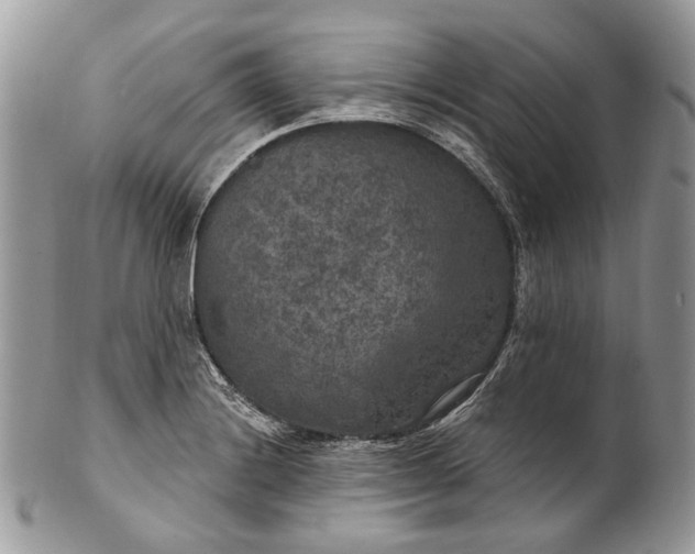 X0000101971228200808011123