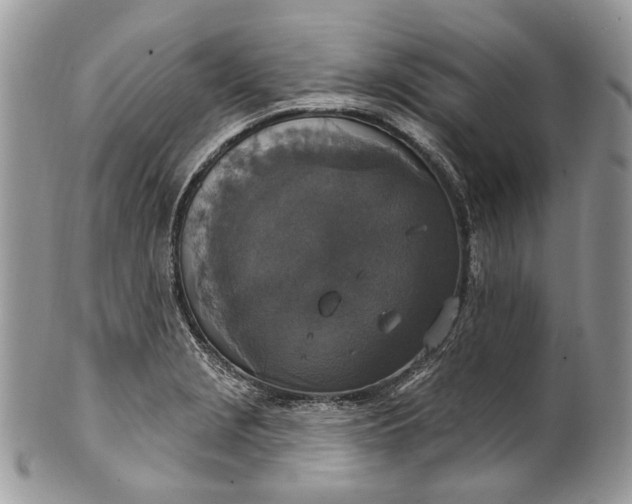 X0000101971229200808011123