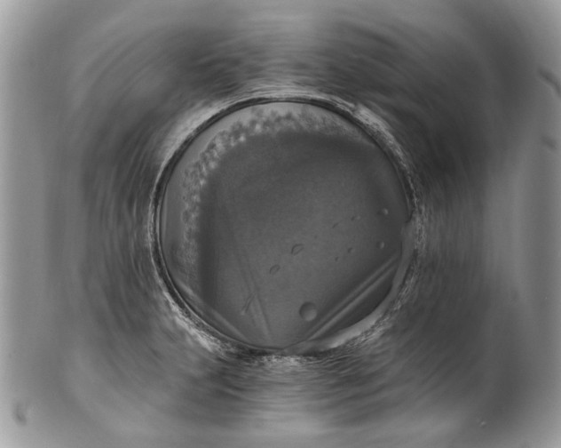 X0000101971231200808011123