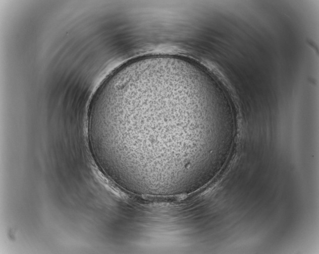 X0000101971232200808011123