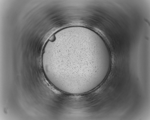 X0000101971236200808011123