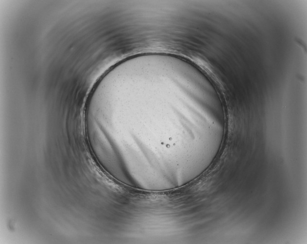 X0000101971238200808011123
