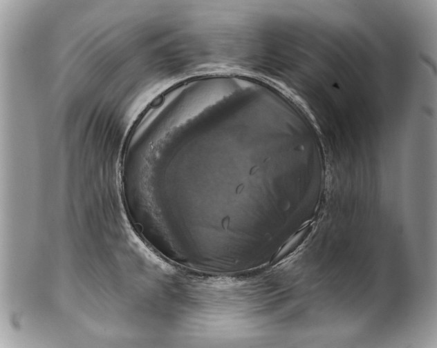 X0000101971239200808011123