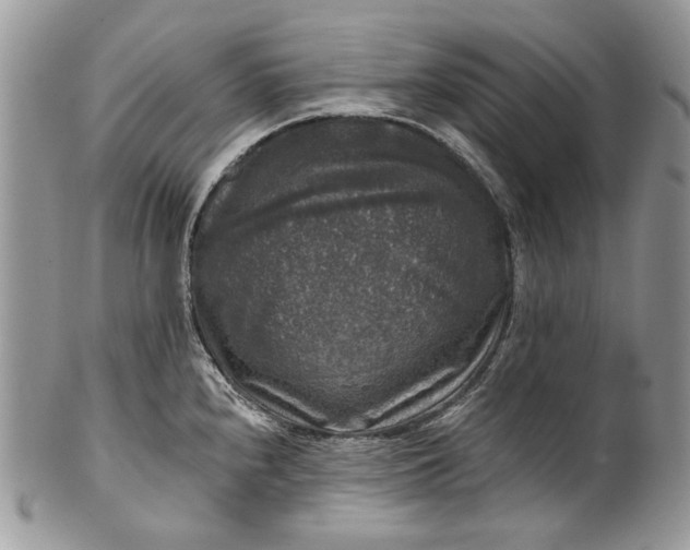 X0000101971240200808011123