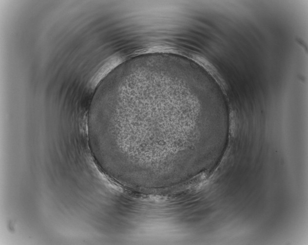 X0000101971241200808011123