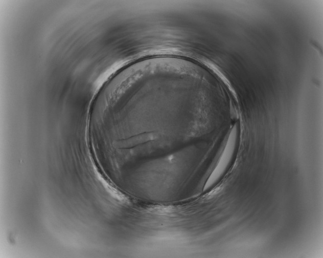 X0000101971245200808011123