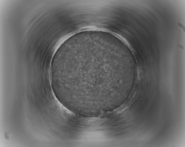 X0000101971247200808011123