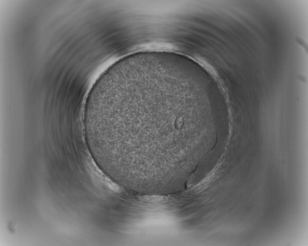 X0000101971248200808011123