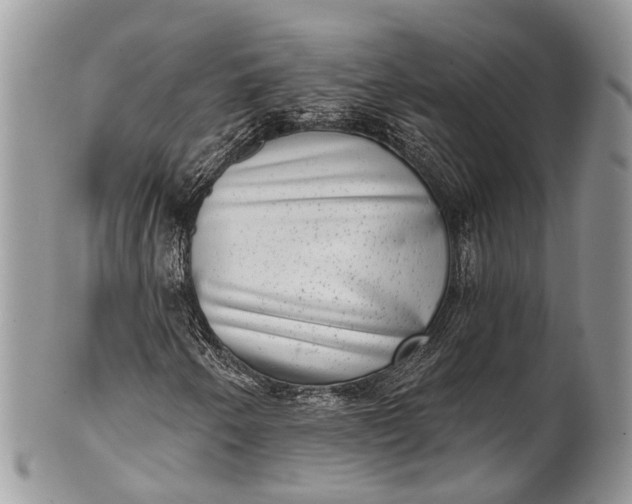 X0000101971250200808011123