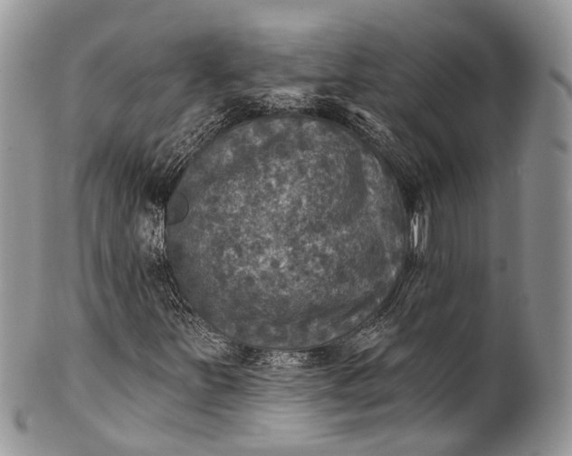 X0000101971251200808011123