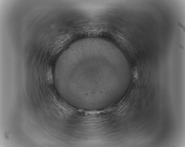 X0000101971252200808011123