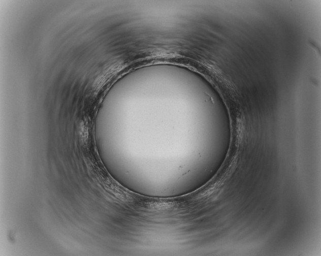 X0000101971257200808011123
