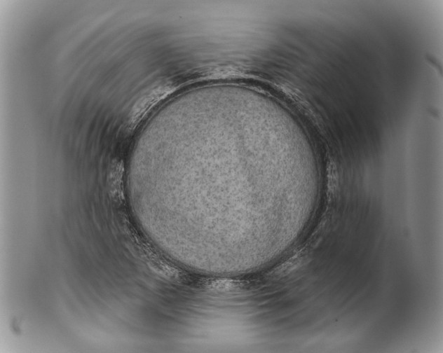 X0000101971265200808011122