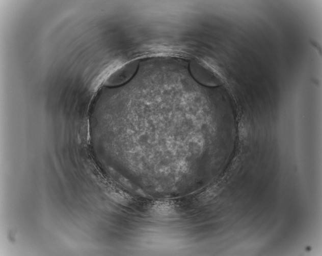 X0000101971267200808011122