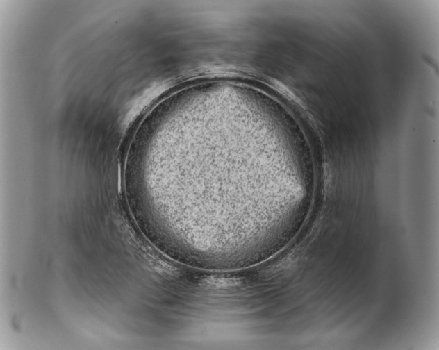 X0000101971269200808011122