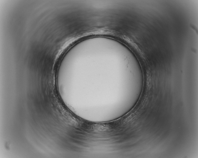 X0000101971270200808011122