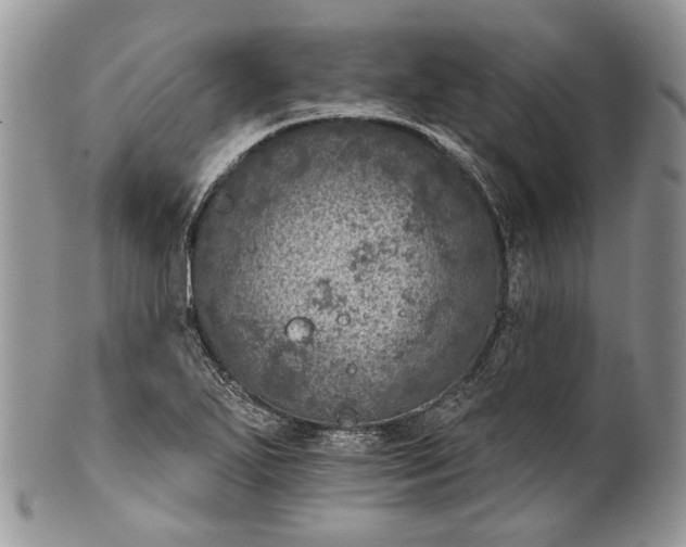 X0000101971271200808011122