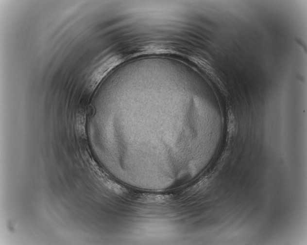 X0000101971273200808011122
