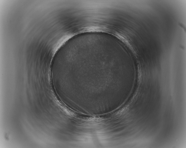 X0000101971277200808011122