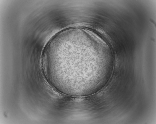 X0000101971278200808011122