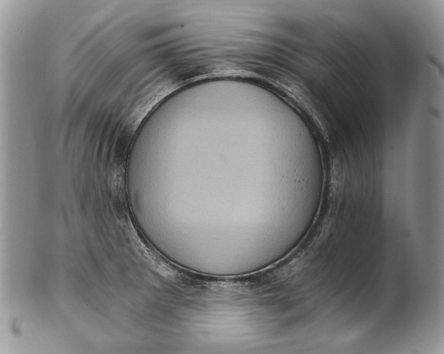 X0000101971281200808011122