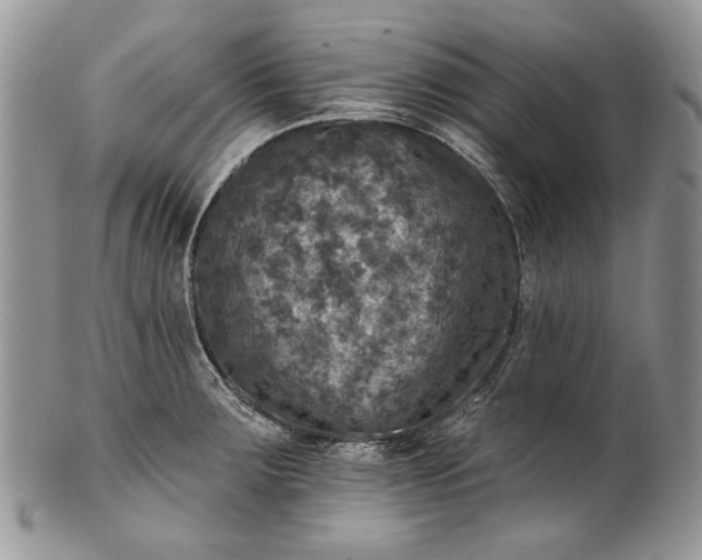 X0000101971283200808011122