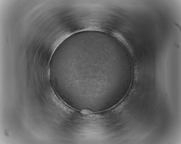 X0000101971284200808011122