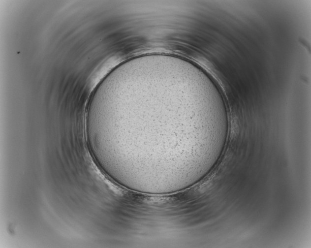 X0000101971290200808011122