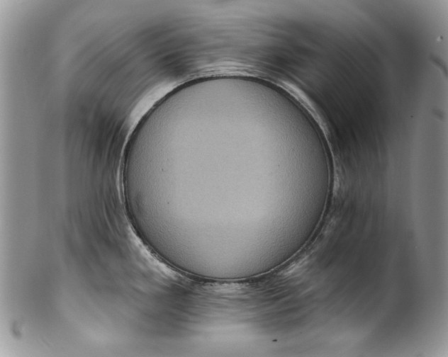X0000101971293200808011122