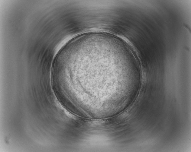 X0000101971294200808011122