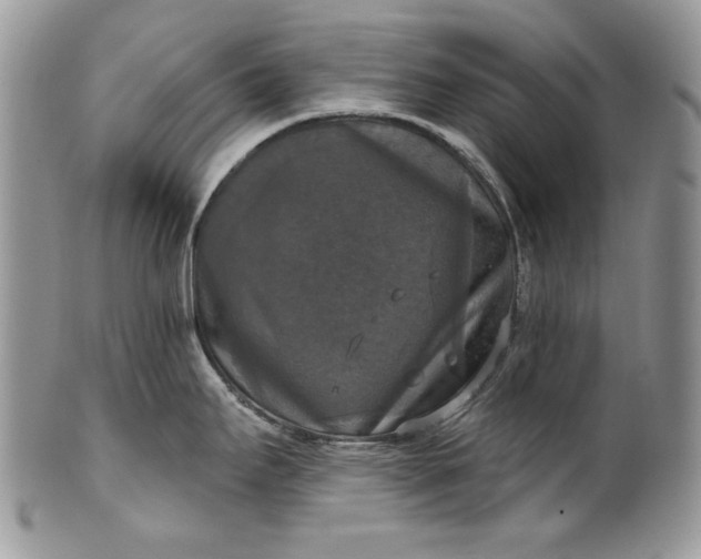 X0000101971295200808011122