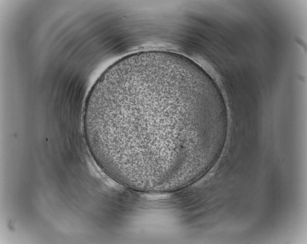 X0000101971296200808011122
