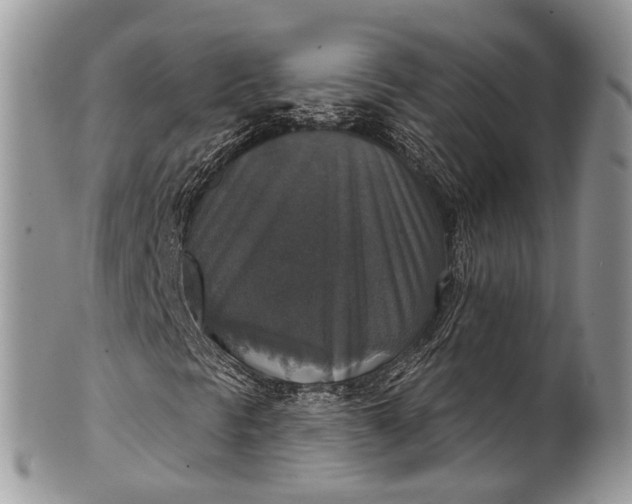X0000101971297200808011121