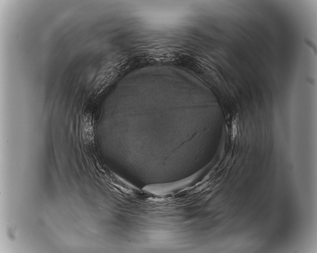 X0000101971298200808011121