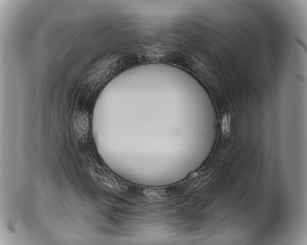 X0000101971299200808011121