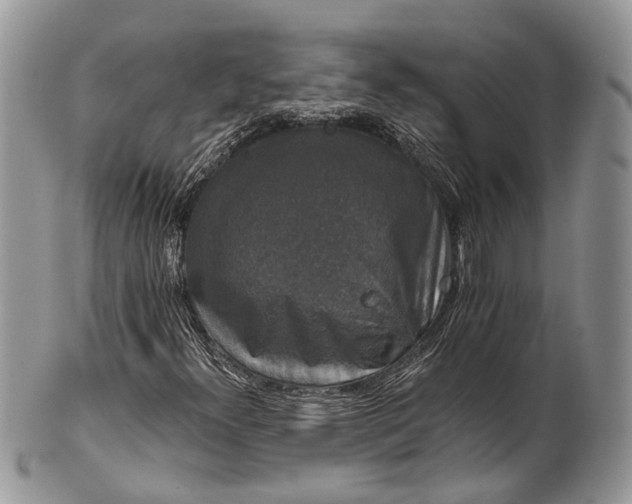 X0000101971300200808011121