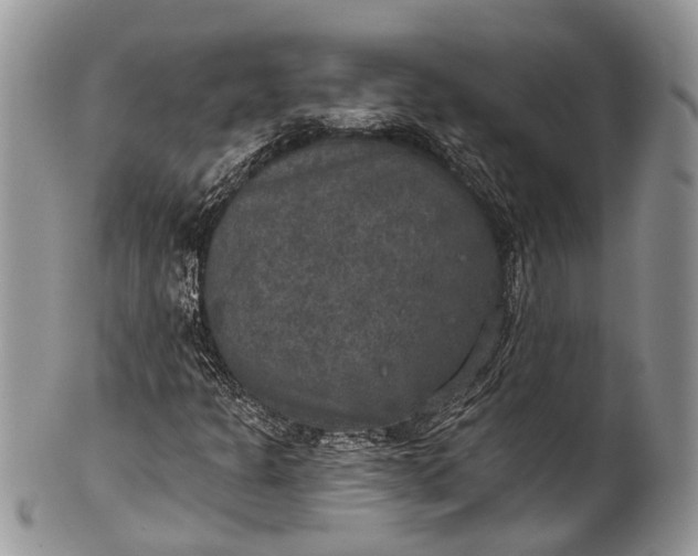 X0000101971301200808011121