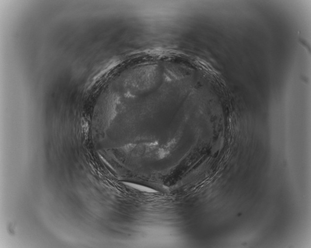 X0000101971302200808011121