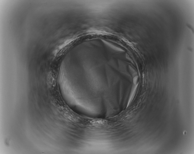 X0000101971303200808011121