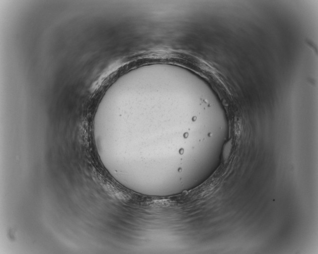 X0000101971304200808011121