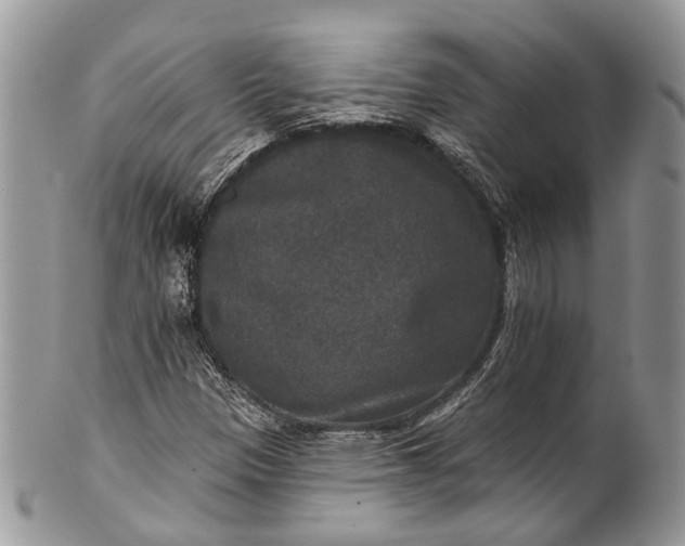 X0000101971305200808011121