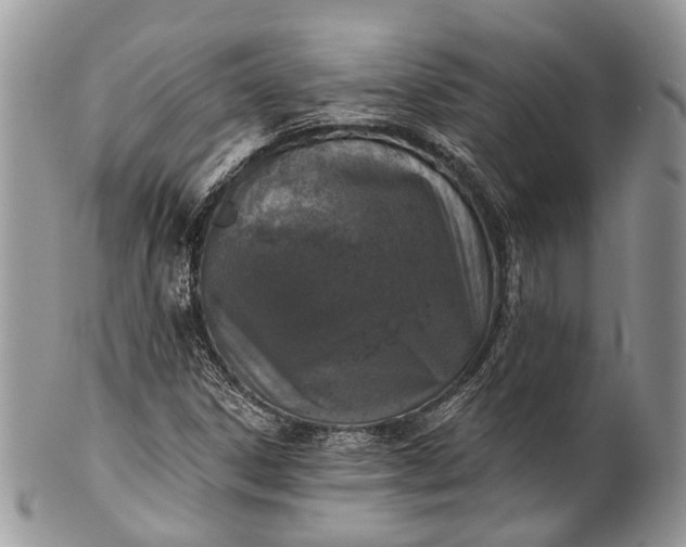 X0000101971306200808011121