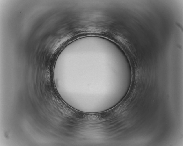 X0000101971307200808011121