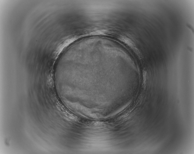 X0000101971308200808011121