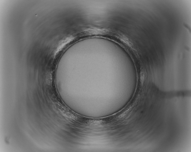 X0000101971309200808011121