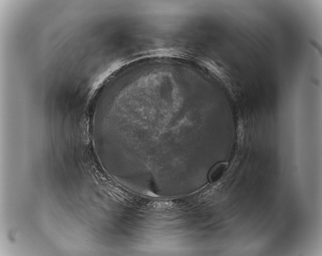 X0000101971310200808011121