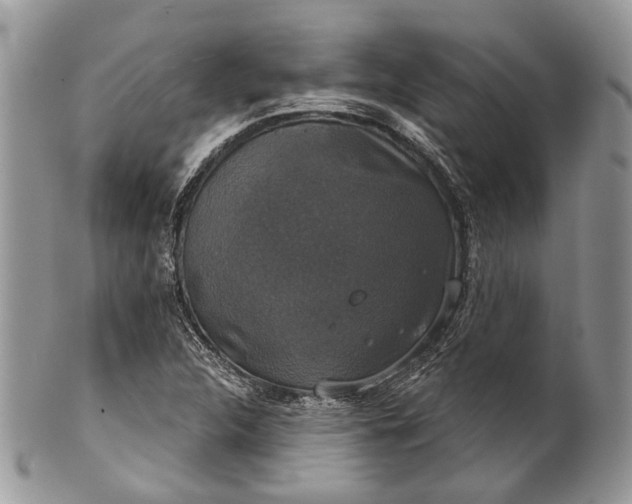 X0000101971312200808011121